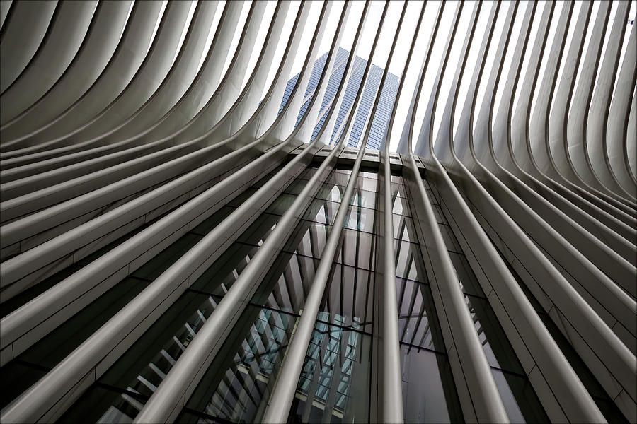 Westfield World Trade Center NYC #5 Photograph by Robert Ullmann