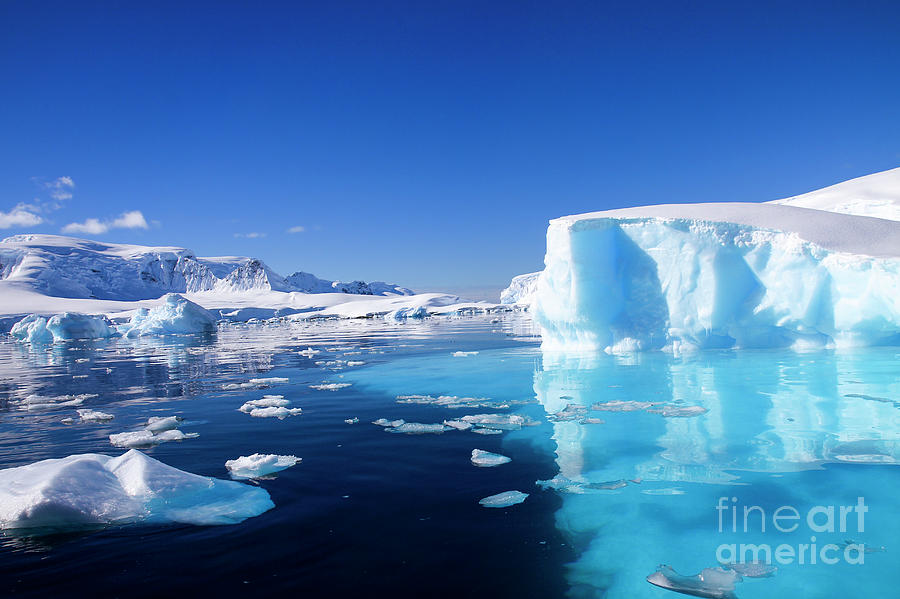 Wilhelmina Bay Antarctica  Photograph by Lilach Weiss