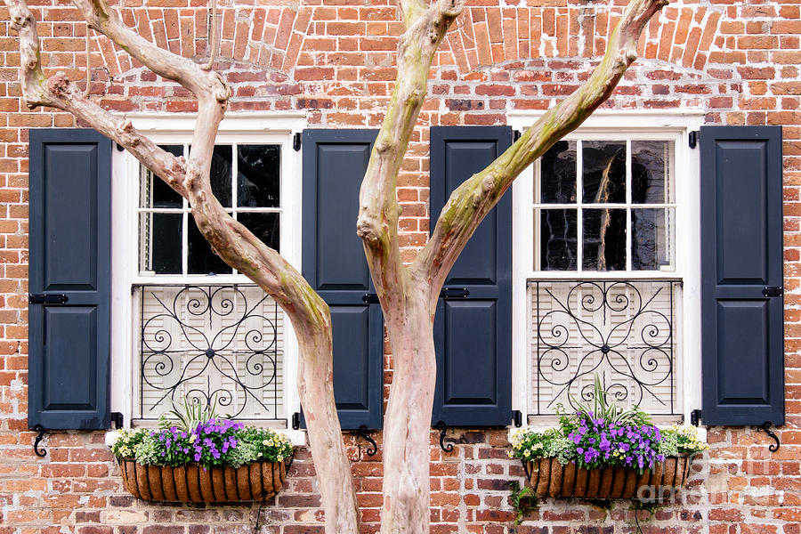 Windows Of Charleston Photograph