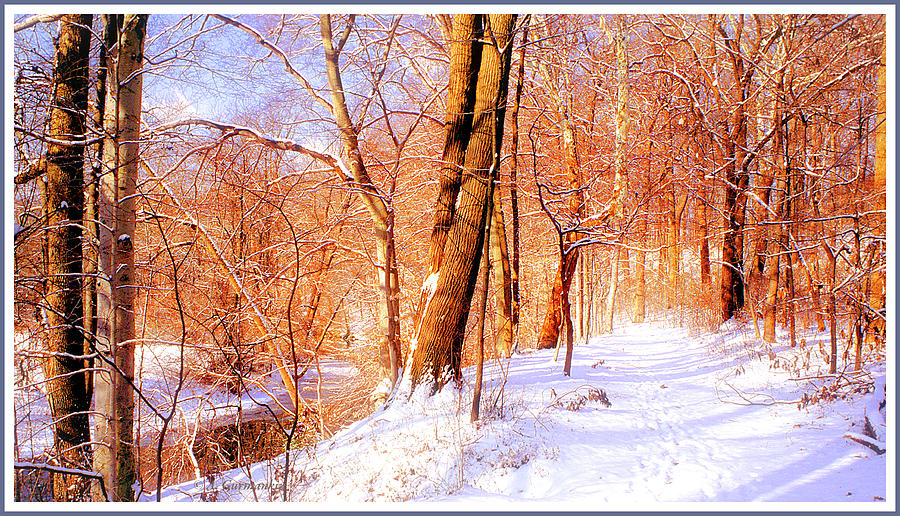 Winter by a Pennsylvania Stream #5 Photograph by A Macarthur Gurmankin