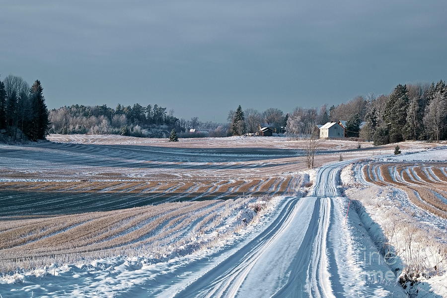 Winter Photograph - Winter landscape #5 by Esko Lindell