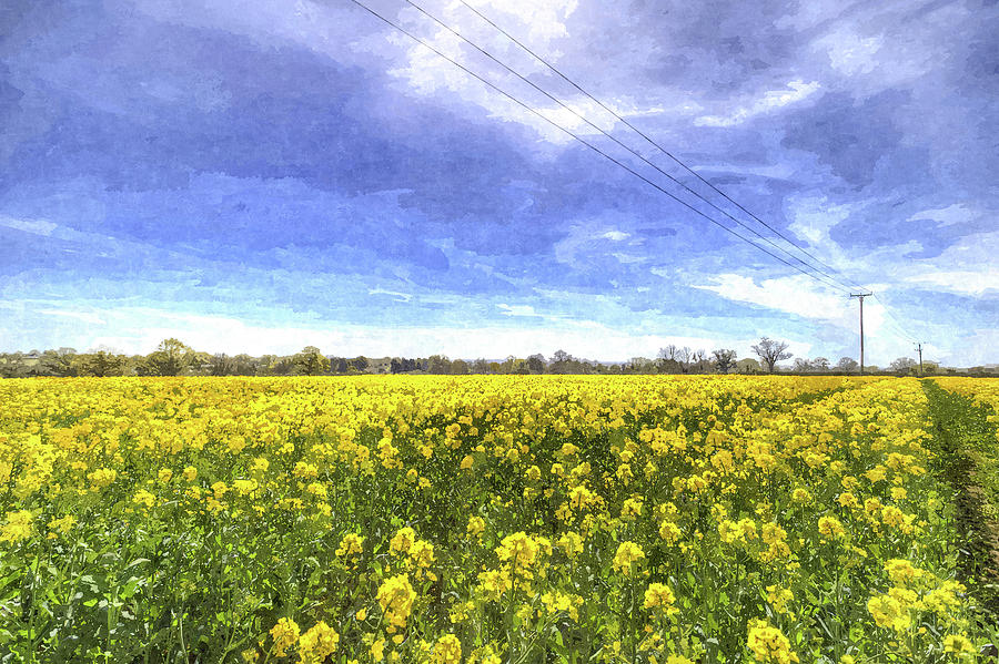 Summer Photograph - Yellow Fields Of Summer Art #5 by David Pyatt