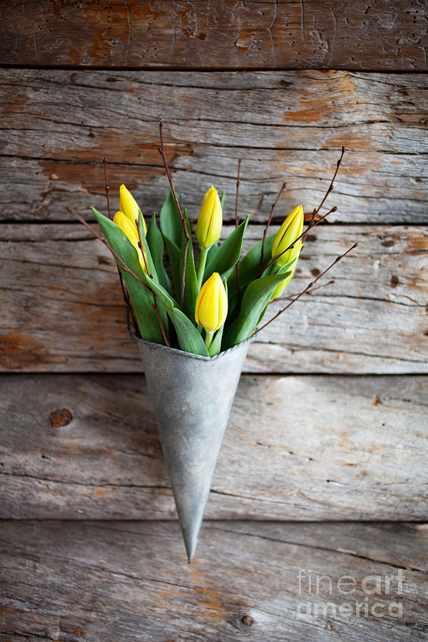 Yellow tulips #5 Photograph by Kati Finell