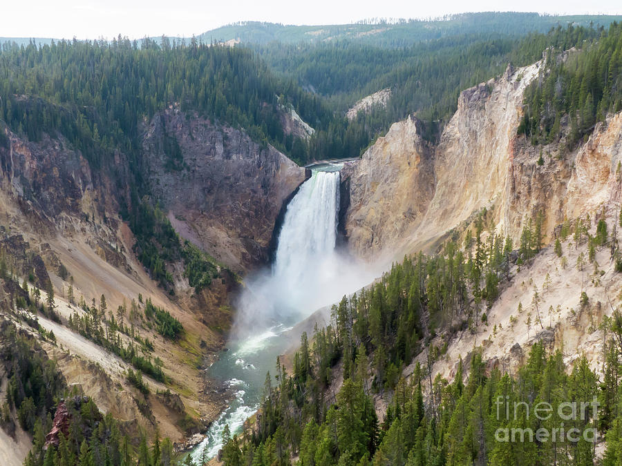 Yellowstone Lower Falls #5 Photograph by Rod Jones