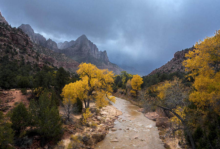 Zion Autumn #5 Photograph by Michael Just