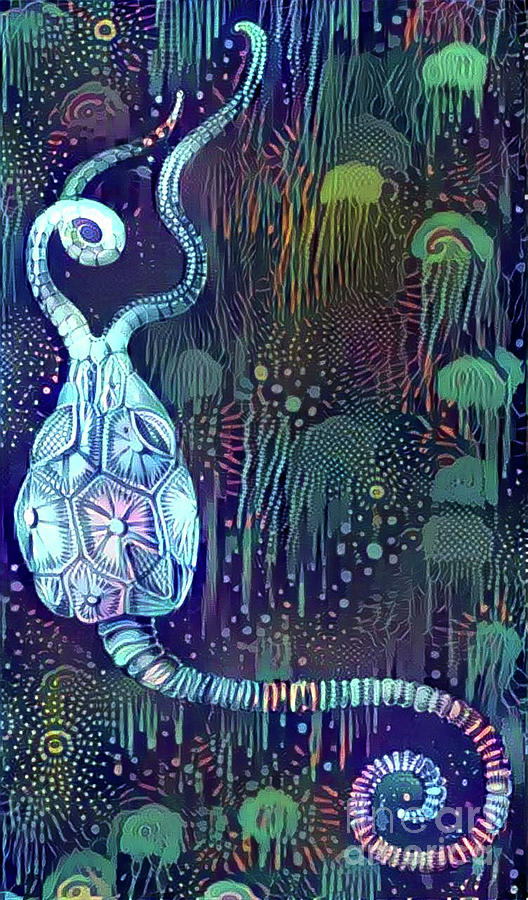 Abstract Jellyfish #50 Digital Art by Amy Cicconi