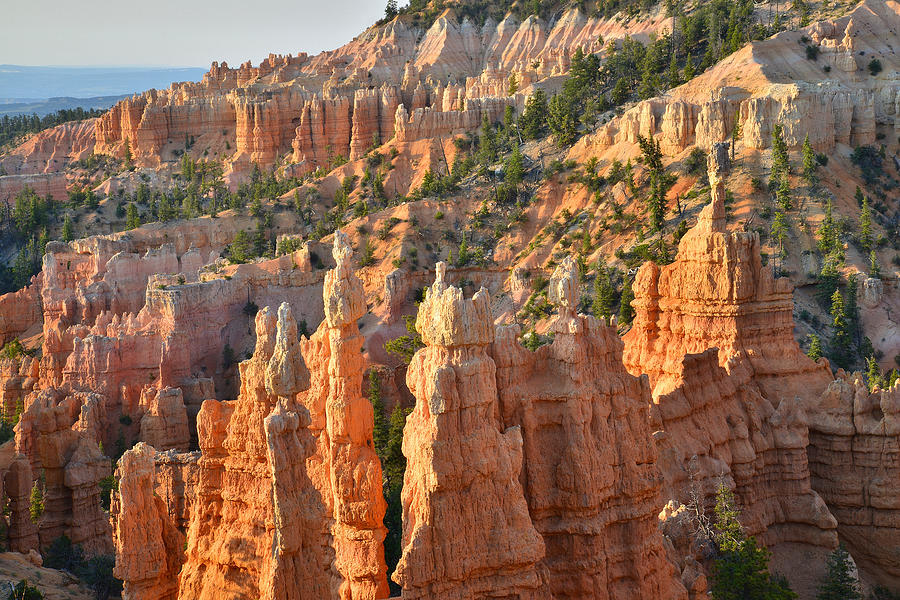 Fairyland Canyon #39 Photograph by Ray Mathis