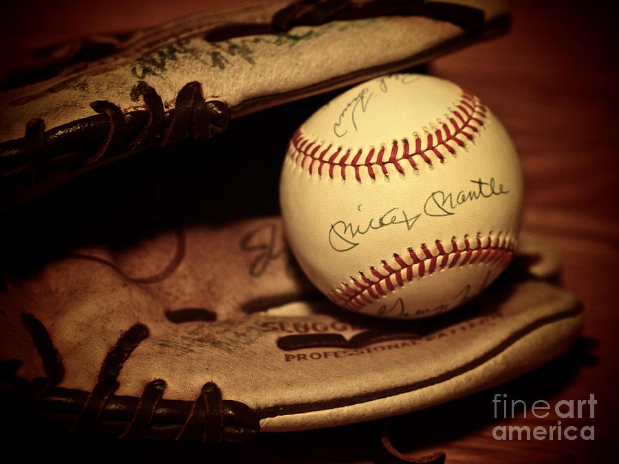 50 Home Run Baseball Photograph by Mark Miller