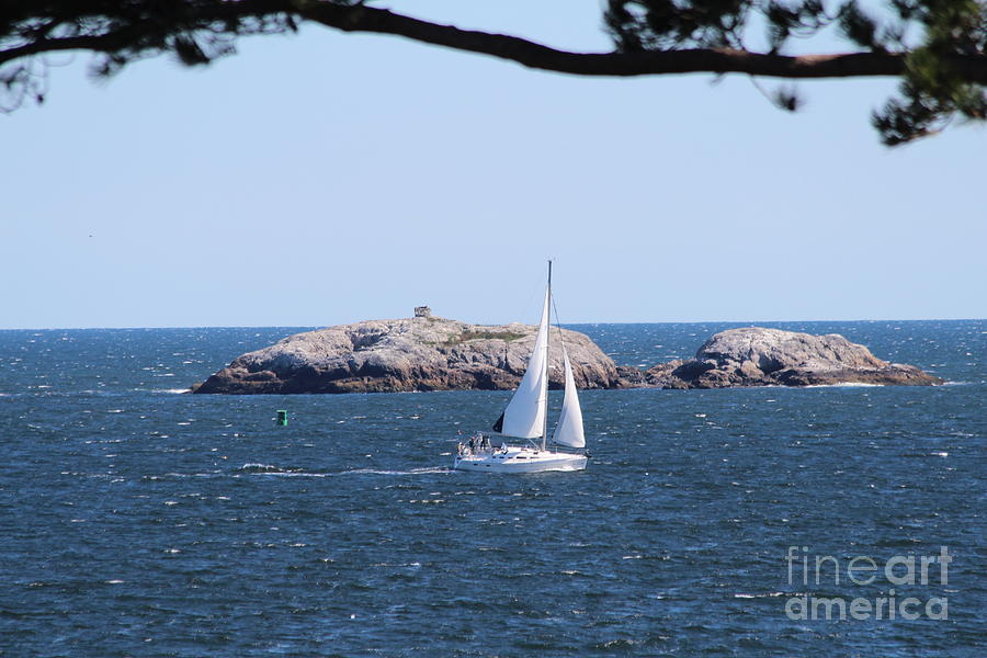 Marblehead MA #50 Photograph by Donn Ingemie