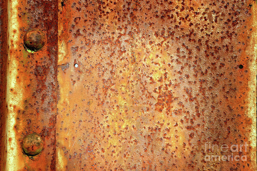 Rusty metal #50 Photograph by Tom Gowanlock