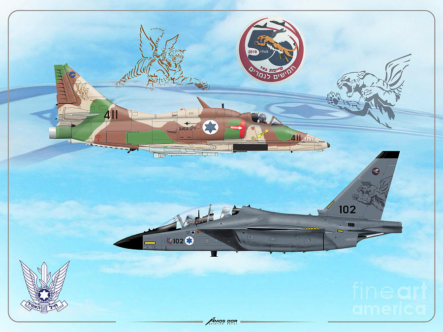 50 Years to the Tigers by Amos Dor 50 Years to the Tigers by Amos Dor