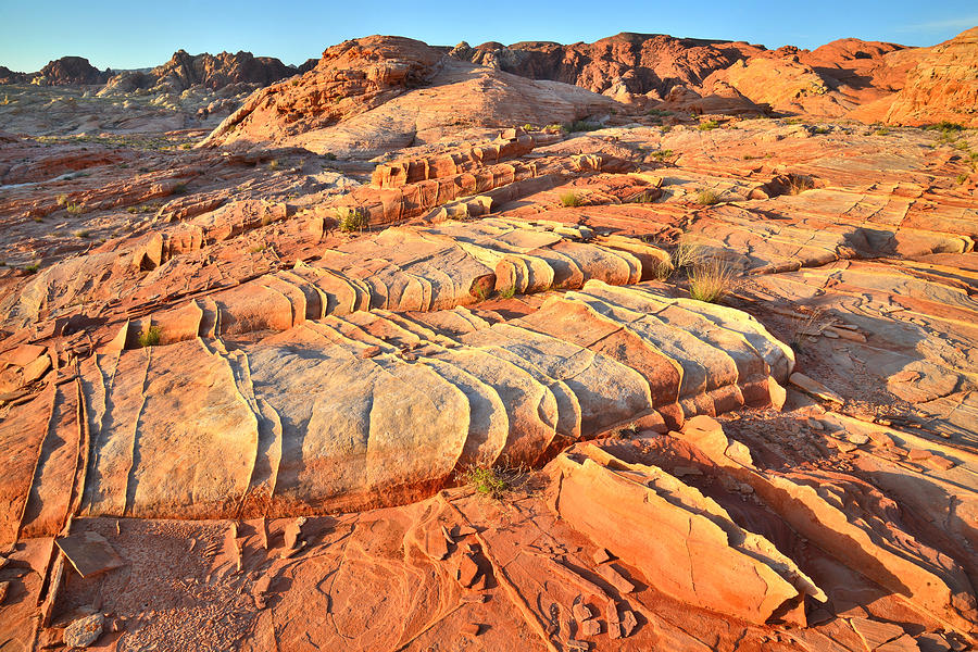 Valley of Fire #501 Photograph by Ray Mathis
