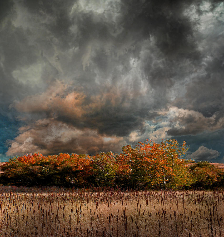 4108 Photograph by Peter Holme III