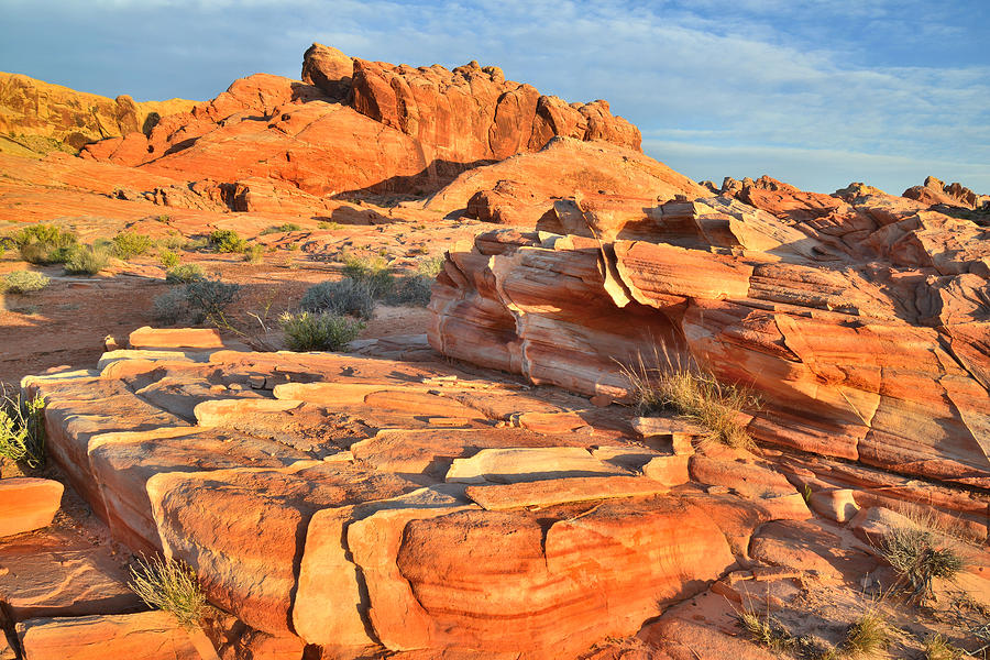 Valley of Fire #506 Photograph by Ray Mathis