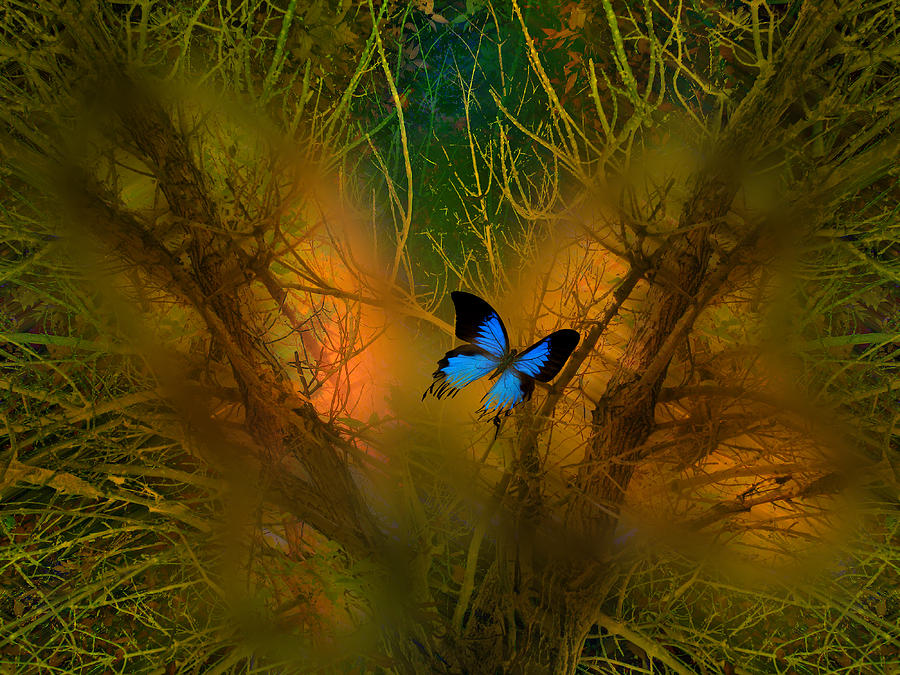 4114 Photograph by Peter Holme III