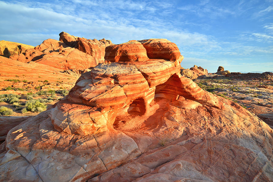 Valley of Fire #504 Photograph by Ray Mathis
