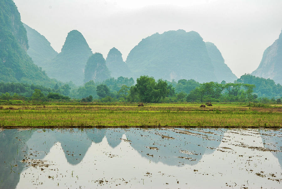 Karst rural scenery in spring #51 Photograph by Carl Ning