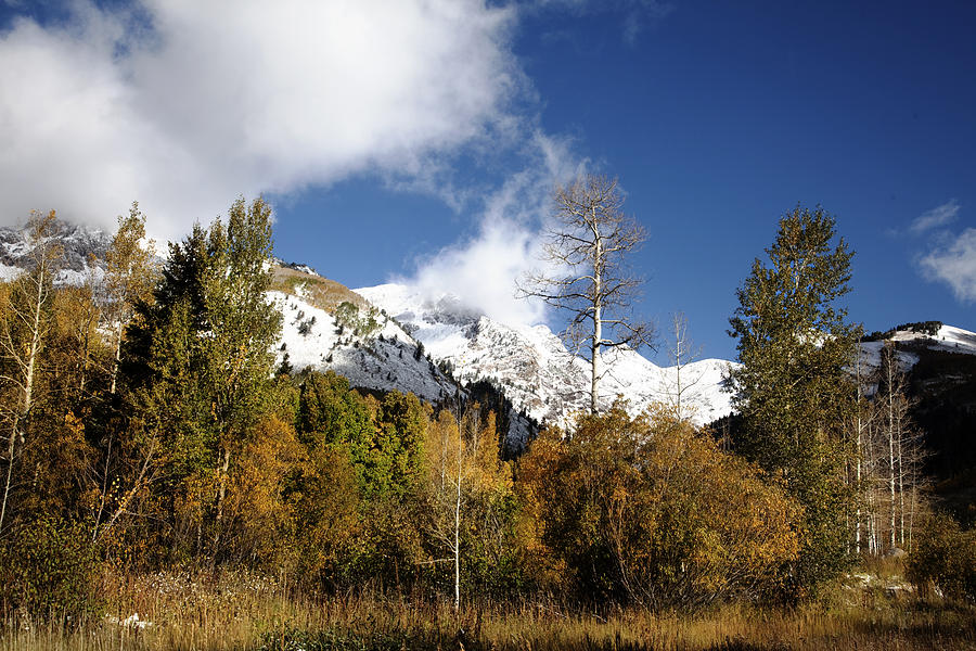 Rocky Mountain Fall #51 Photograph by Mark Smith
