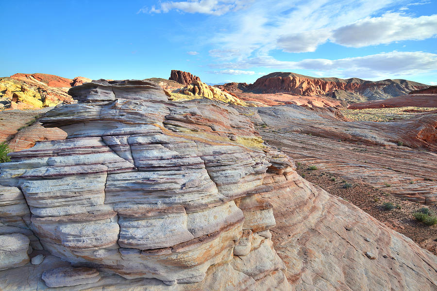 Valley of Fire #254 Photograph by Ray Mathis