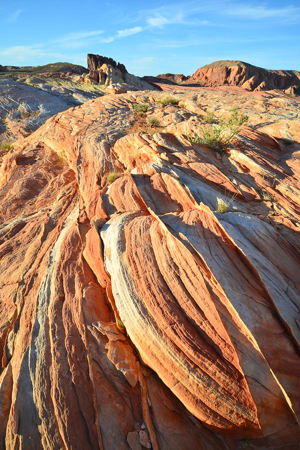 Valley of Fire #429 Photograph by Ray Mathis