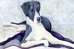 Great Dane Painting - Gabby by Cherri Lamarr Great Dane Painting - Gabby by Cherri Lamarr