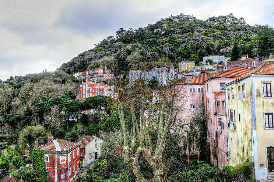 Sintra Portugal #52 Photograph by Paul James Bannerman