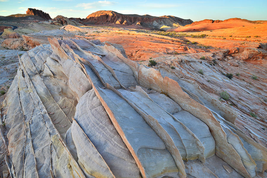 Valley of Fire #517 Photograph by Ray Mathis