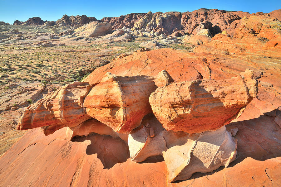 Valley of Fire #539 Photograph by Ray Mathis
