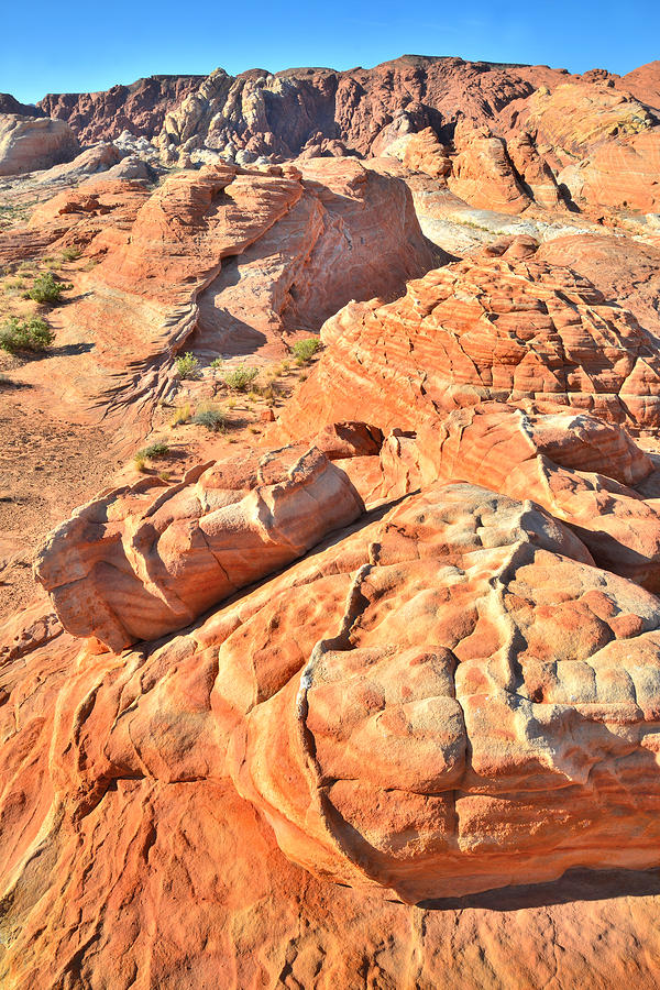 Valley of Fire #519 Photograph by Ray Mathis