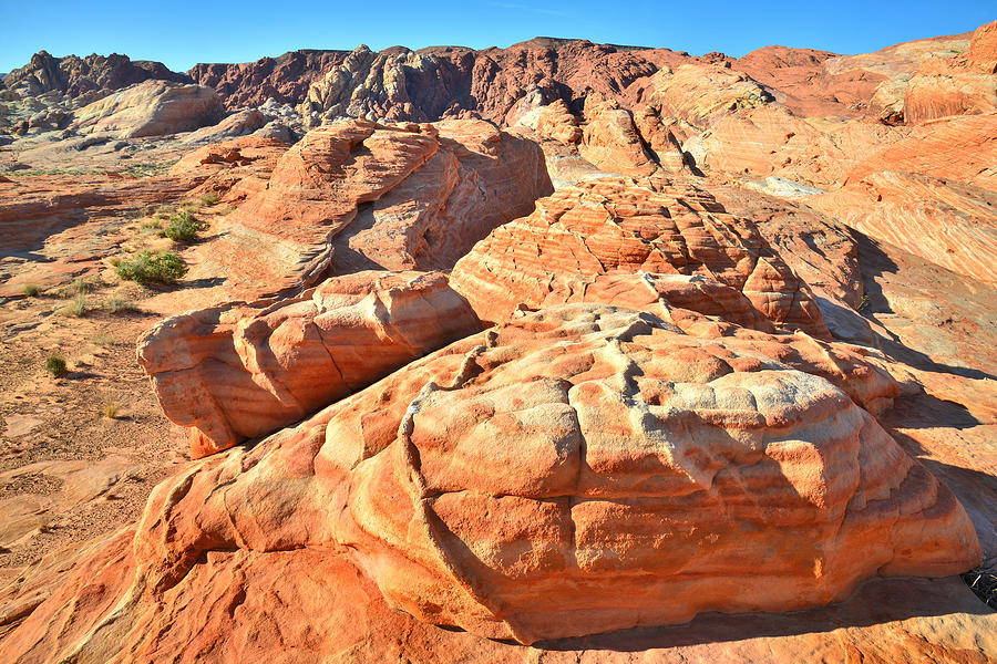Valley of Fire #544 Photograph by Ray Mathis
