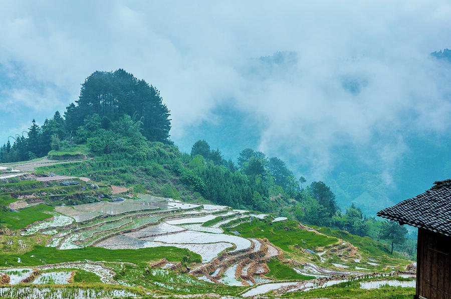 Longji terraced fields scenery #54 Photograph by Carl Ning