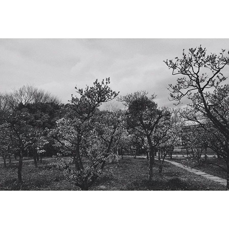 Nature Photograph - Instagram Photo #541493192117 by Takashi Hiramoto