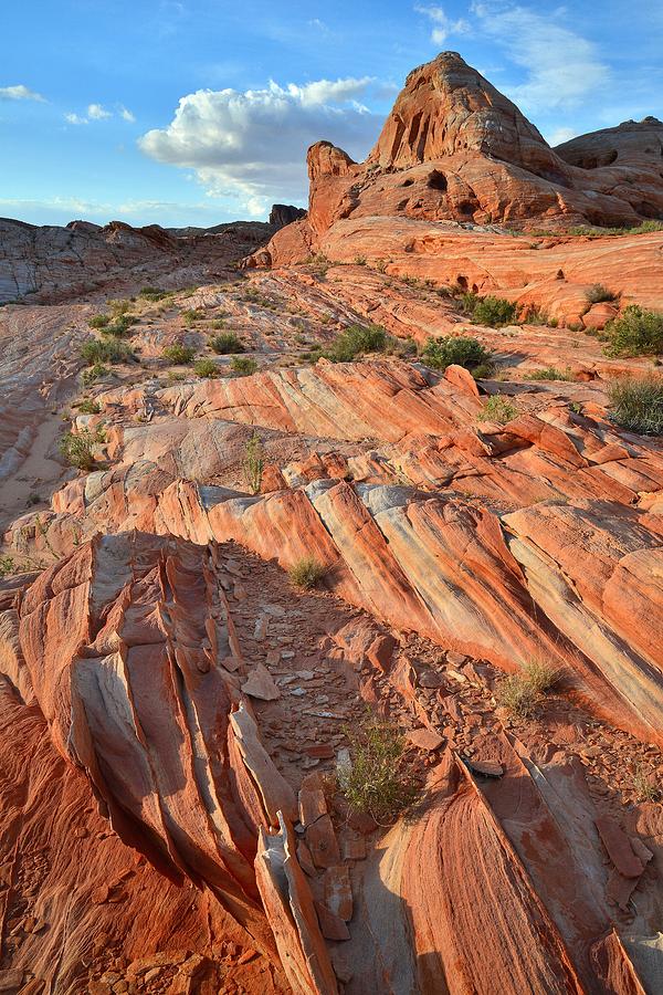 Valley of Fire #542 Photograph by Ray Mathis