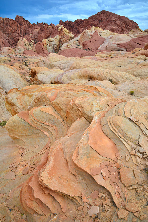Valley of Fire #553 Photograph by Ray Mathis