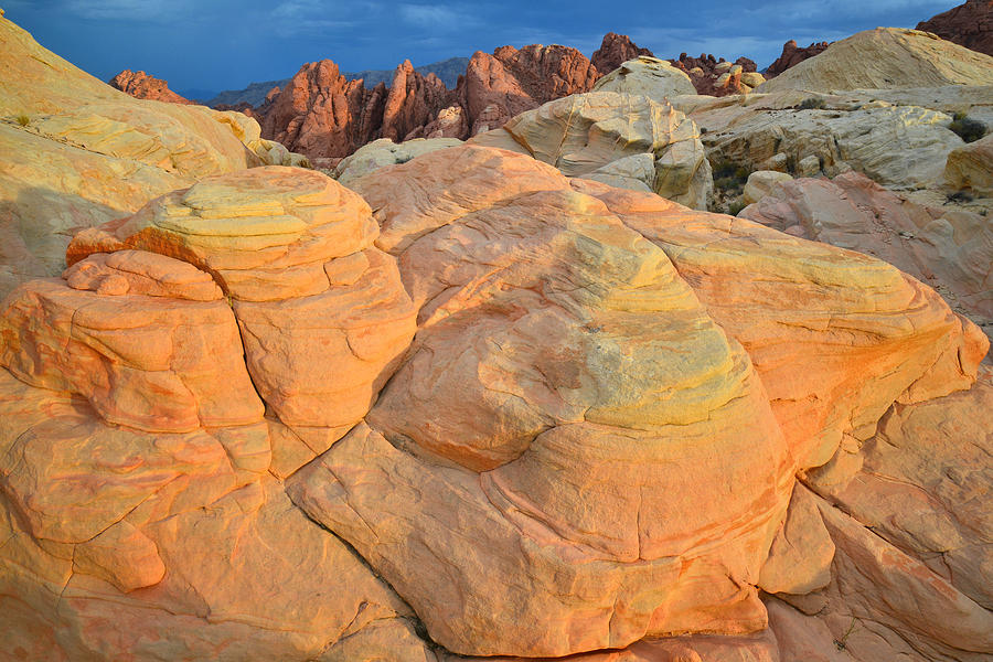 Valley of Fire #546 Photograph by Ray Mathis