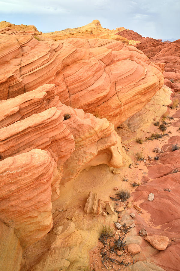Valley of Fire #556 Photograph by Ray Mathis