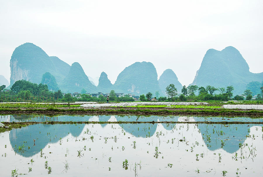 Karst rural scenery in spring #55 Photograph by Carl Ning