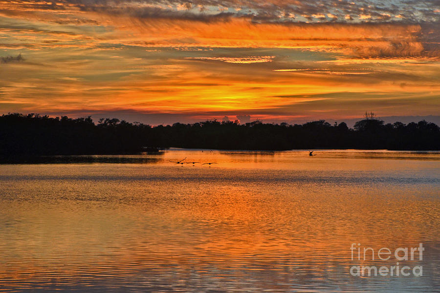 55- Pelican Sunset Photograph by Joseph Keane