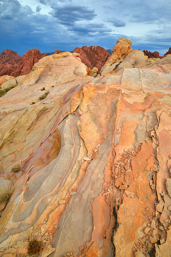 Valley of Fire #560 Photograph by Ray Mathis