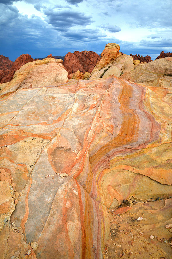 Valley of Fire #566 Photograph by Ray Mathis