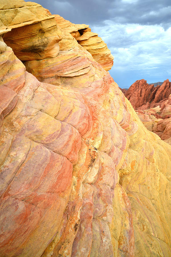 Valley of Fire #303 Photograph by Ray Mathis