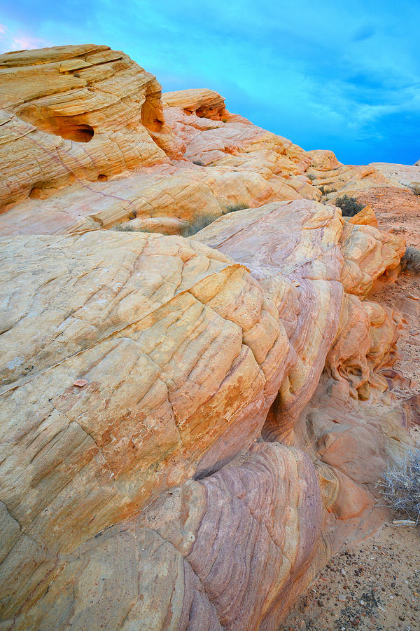 Valley of Fire #551 Photograph by Ray Mathis