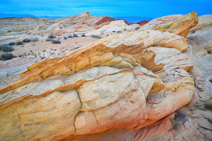 Valley of Fire #563 Photograph by Ray Mathis