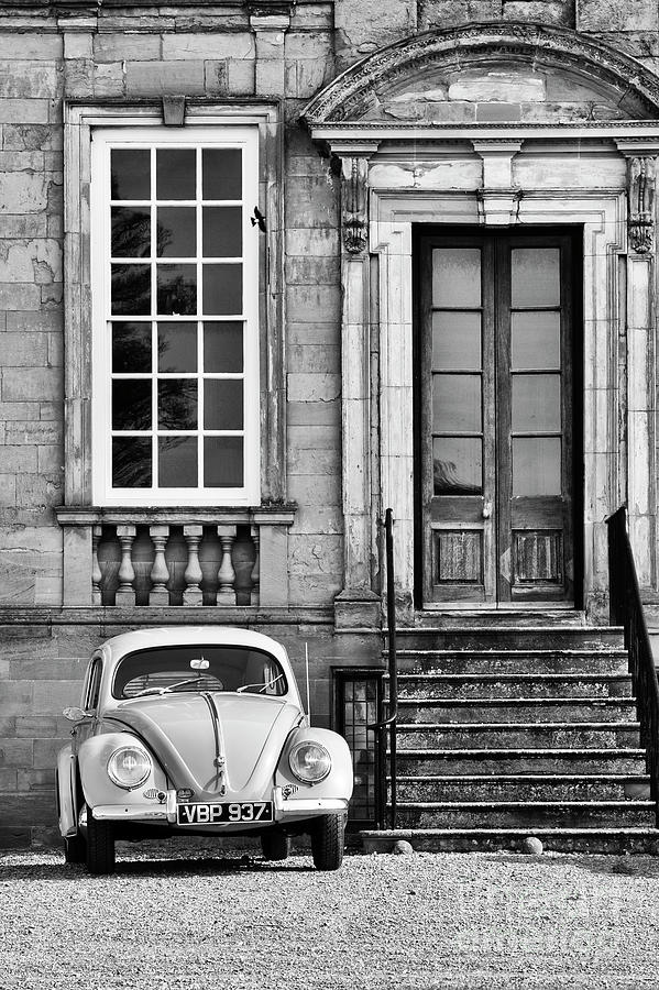 56 Beetle Photograph by Tim Gainey