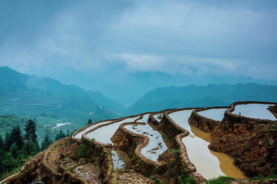 Longji terraced fields scenery #56 Photograph by Carl Ning