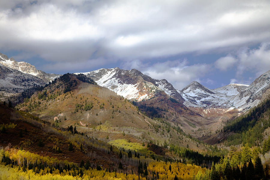 Rocky Mountain Fall #56 Photograph by Mark Smith