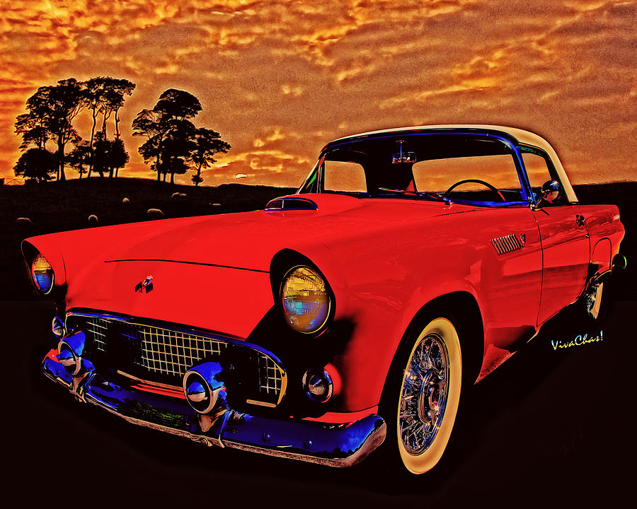 56 T Bird Red Photograph by Chas Sinklier - Fine Art America