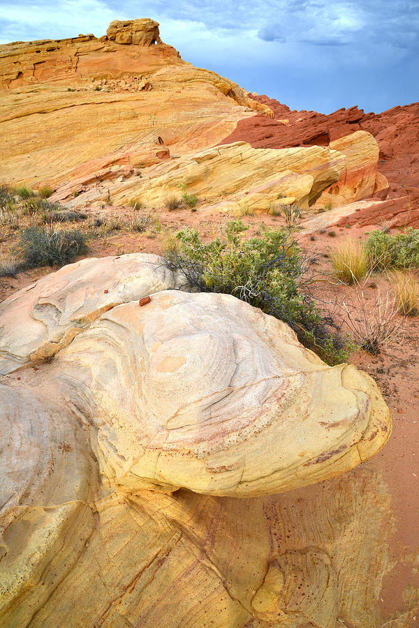 Valley of Fire #555 Photograph by Ray Mathis