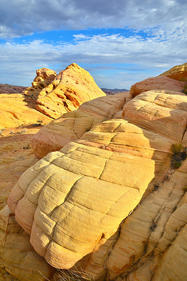 Valley of Fire #568 Photograph by Ray Mathis