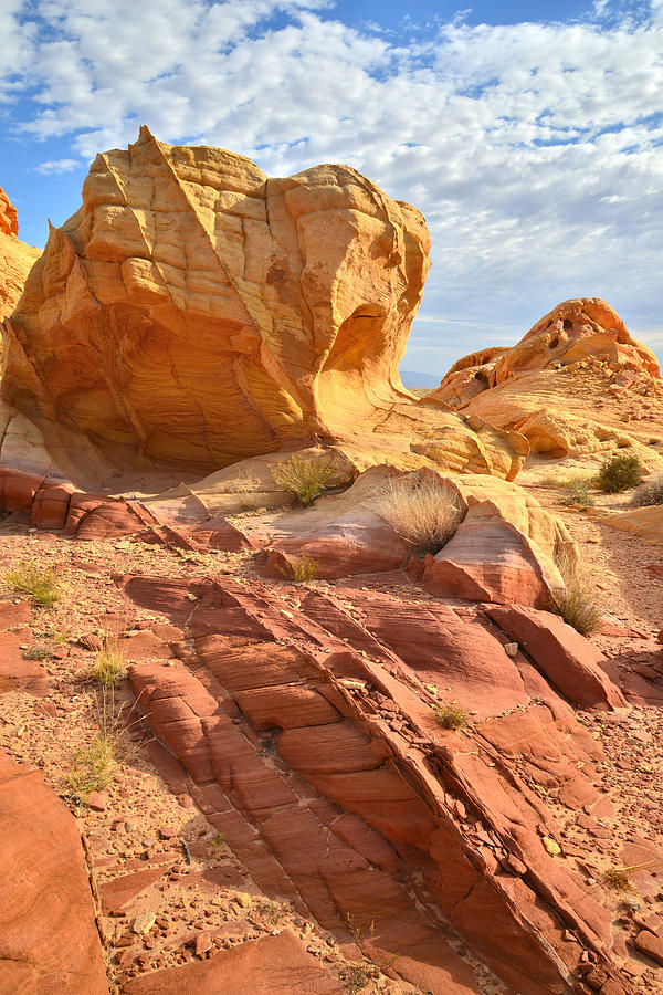 Valley of Fire #554 Photograph by Ray Mathis
